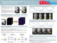 Deep Learning Model Uncertainty in Medical Image Analysis