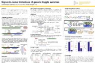 Reduction of signal noise in genetic switches