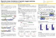 Omezení šumu signálu v genetických přepínačích