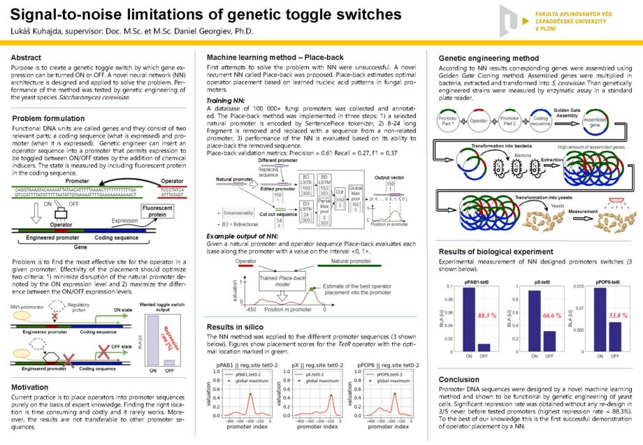 Reduction of signal noise in genetic switches