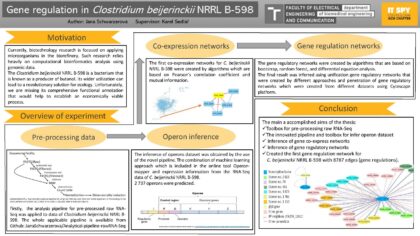 Gene regulation in Clostridium beijerinckii NRRL B-598
