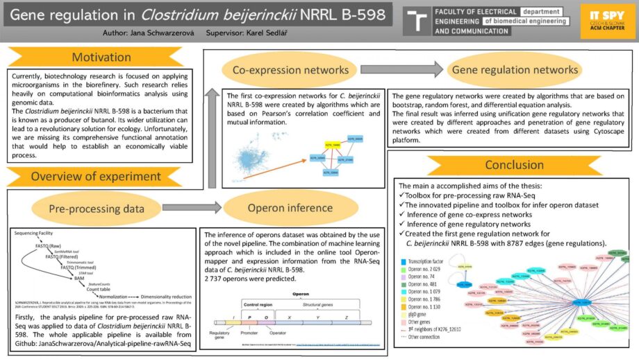 Genová regulace v Clostridium beijerinckii NRRL B-598