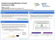 Analysis and identification of local structures in DNA