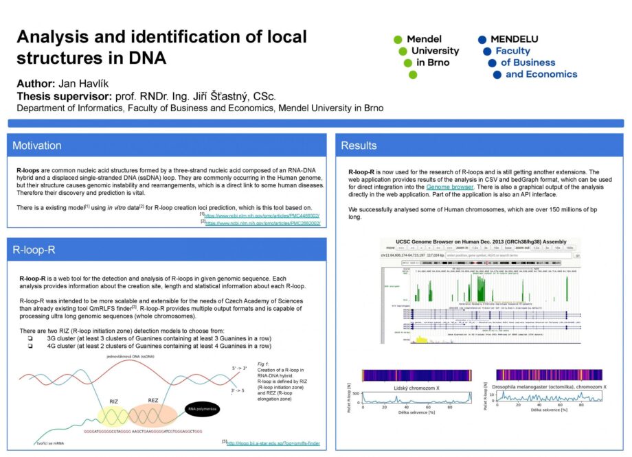 Analysis and identification of local structures in DNA