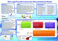 Non-rigid transformace pro muskuloskeletální model