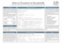 Port nástroje Valgrind na Solaris/x86