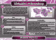 Virtuální mikroskop