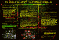 Processing data from two-photon microscope