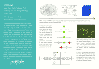 Analysing and Visualizing Statistical Linked Data