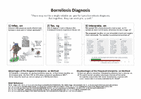 Supporting the Diagnosis of Borreliosis by Machine Learning Methods