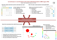 Current topics in cost allocation and custom API development in IBM Cognos TM1