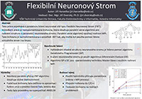 Neurovnoá síť typu Flexible Neural Tree