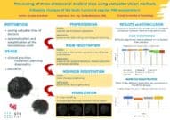 Processing of Three-Dimensional Medical Data Using Computer Vision Methods