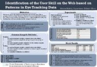 Identification of the user skill on the Web based on patterns in eye tracking data