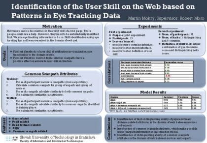 Identification of the user skill on the Web based on patterns in eye tracking data
