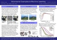 Adversarial Examples in Machine Learning