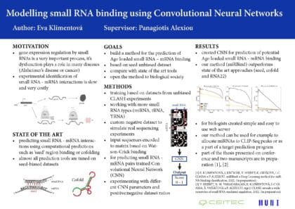 Modelování vazby malé RNA pomocí konvolučních neuronových sítí
