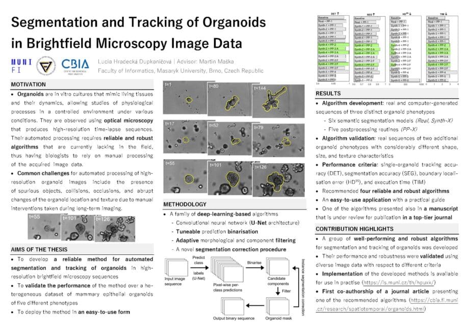 Segmentation and Tracking of Organoids in Brightfield Microscopy Image Data