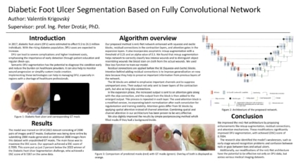Segmentácia diabetických kožných vredov využitím plne konvolučnej siete