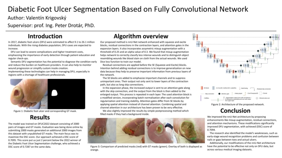 Segmentation of diabetic skin ulcers using a fully convolutional network