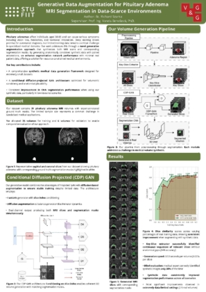 Využitie generatívnych neurónových sietí pre 3D
rádiologické dáta