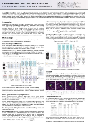 Segmentácia medicínskych obrazových dát metódami hlbokého
učenia